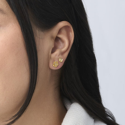 Golden Rose Set - Leia Store