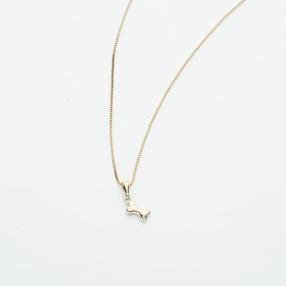 Tiny Bone Spark Necklace - Leia Store